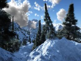 Winter Mountain Picture